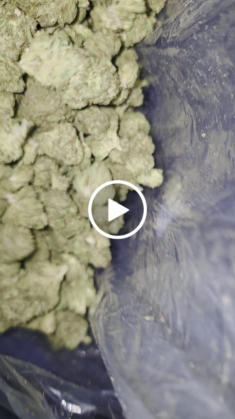 Customer video review of Bruce Banner - Bulk - Hybrid