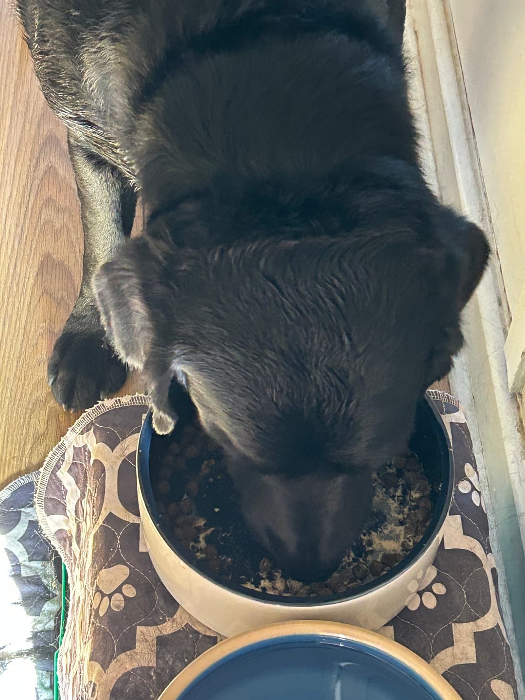 Customer photo review of Chicken Bone Broth