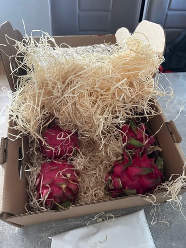 Kundenfoto der Drachenfrucht rot von Julian in einer mit Holzwolle ausgepolsterten Versandbox.