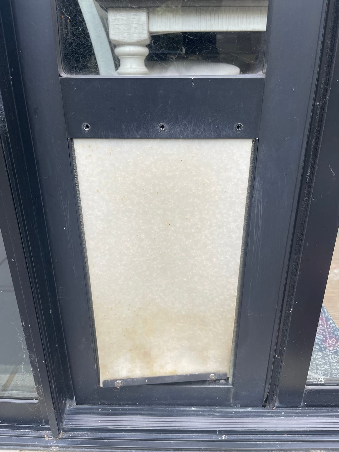 Customer photo review of Replacement Pet flap V3.0