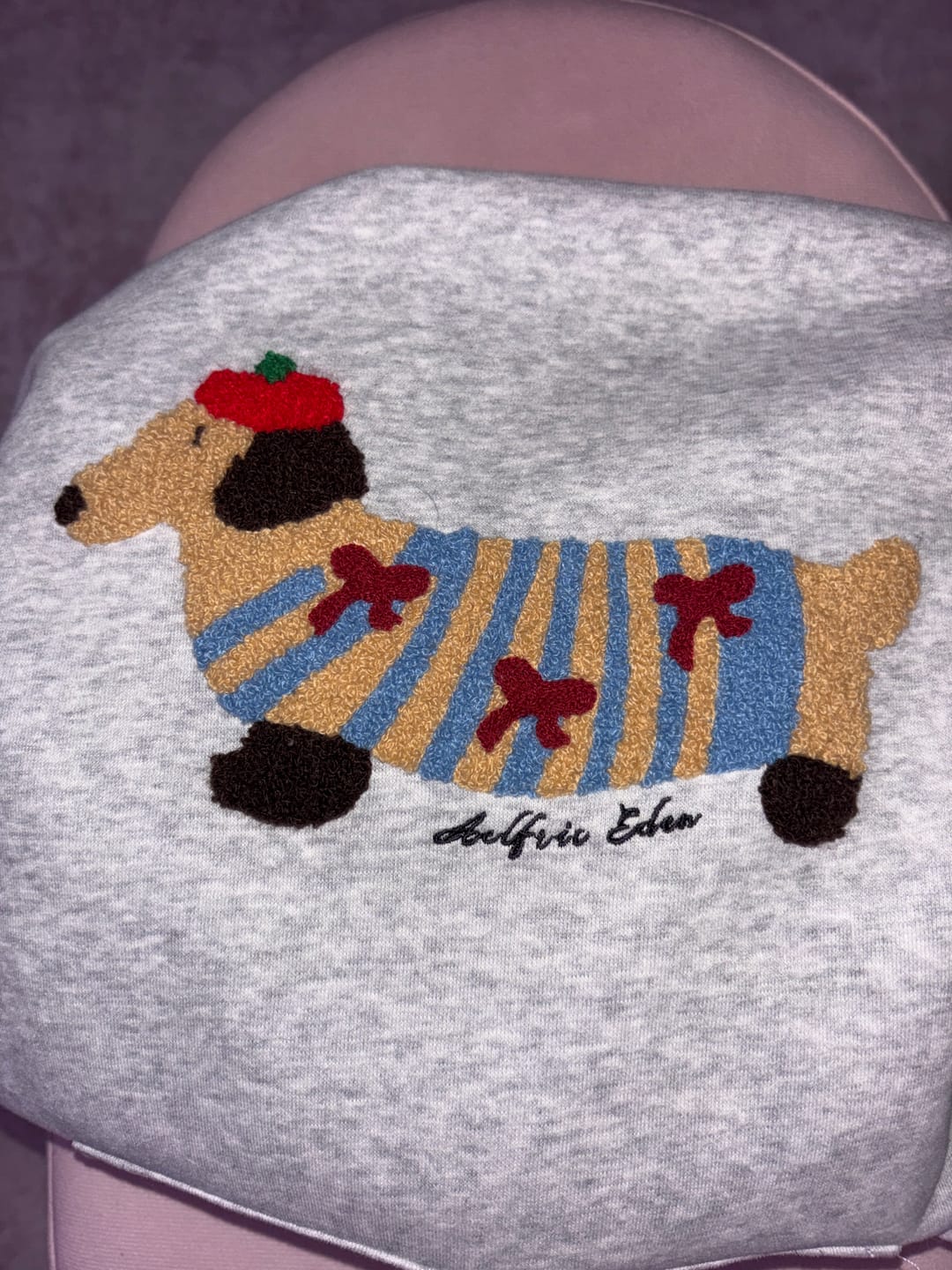 Customer photo review of Aelfric Eden Cartoon Dachshund Hoodie