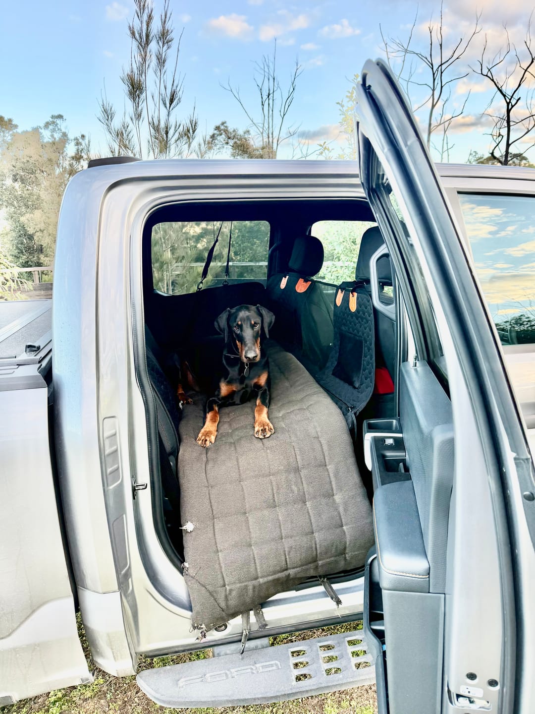 Customer photo review of Hard Bottom Seat Cover