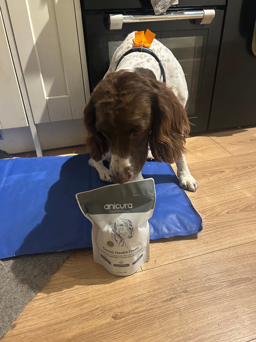 Customer photo review of The Dog Total Care Gift - FREE Anti-Itch Chews & Tote Bag!