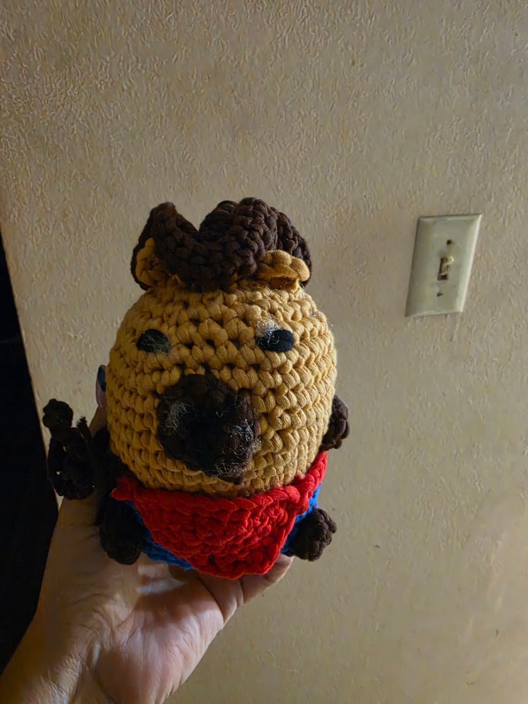 Customer photo review of Juju The Capy In-a-Bath Crochet Kit