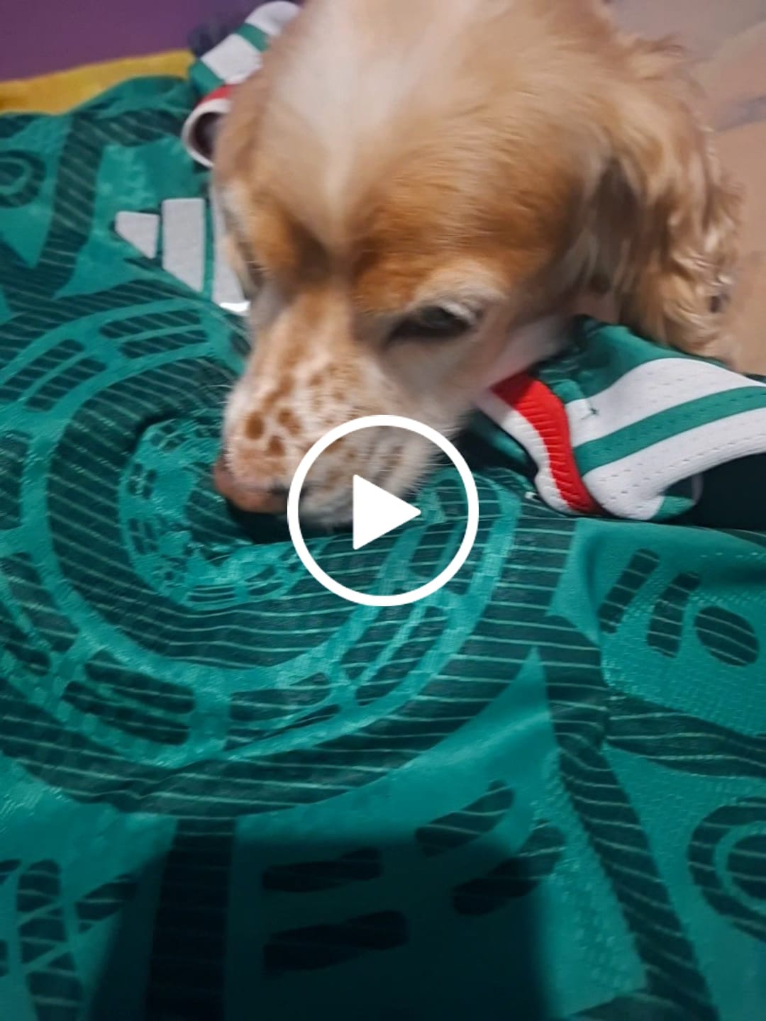 Customer video review of México 2026 Local Versión Jugador