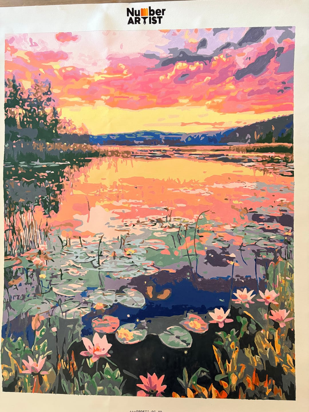 Customer photo review of Lily Sunset