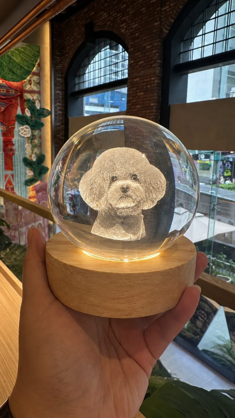 Customer photo review of Custom 3D Pet Portrait Crystal Ball Night Light