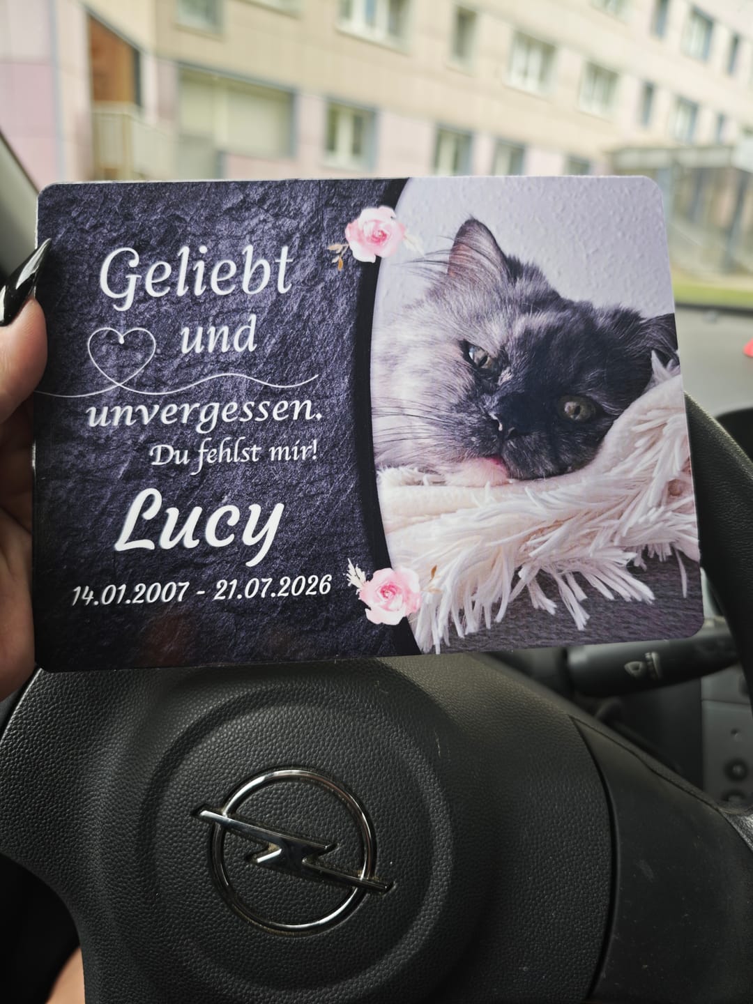 Customer photo review of Katzen Gedenktafel mit Foto & Spruch (UV- & Wetterfest)