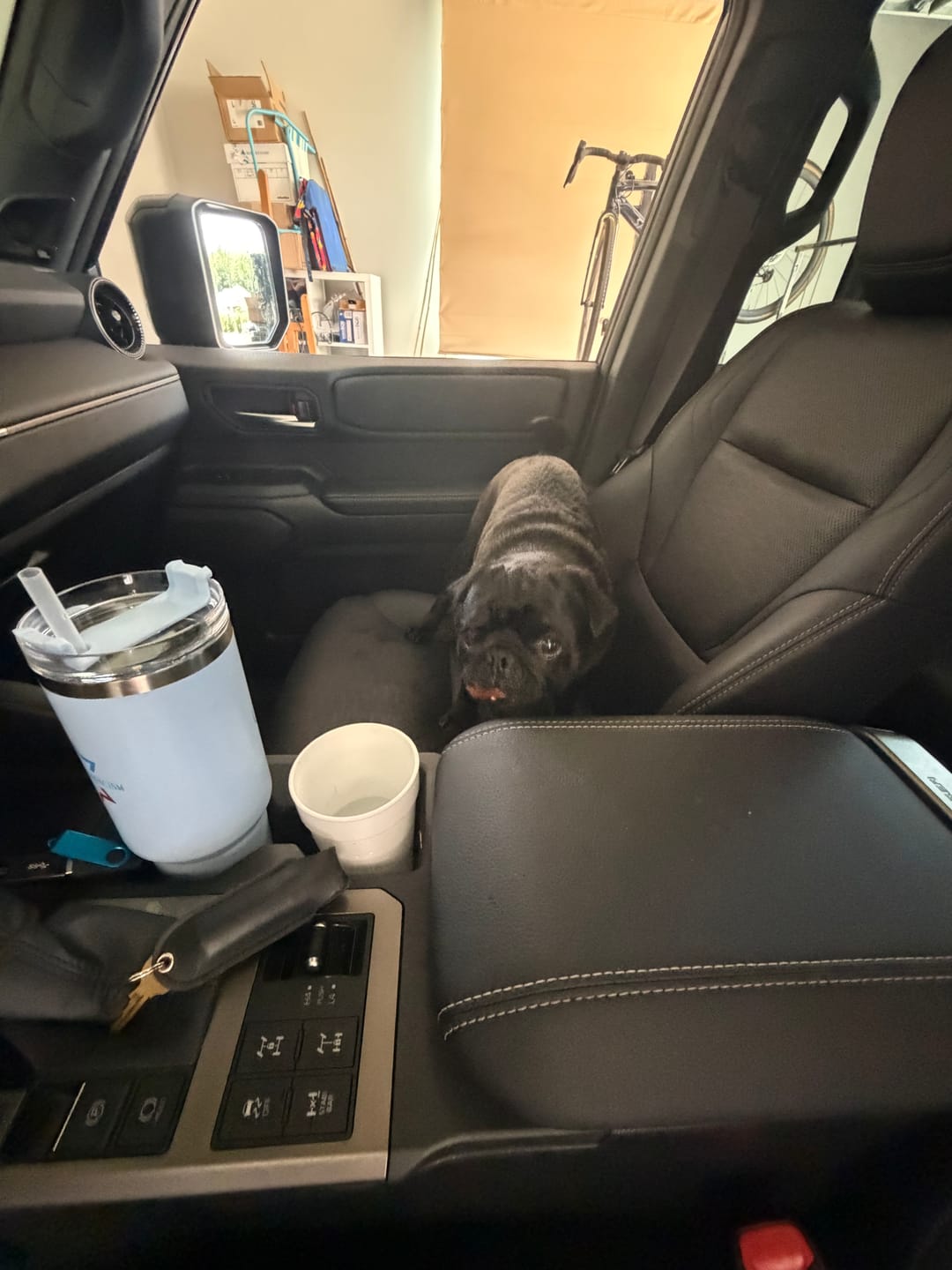 Customer photo review of Stop Anticandacism Cup