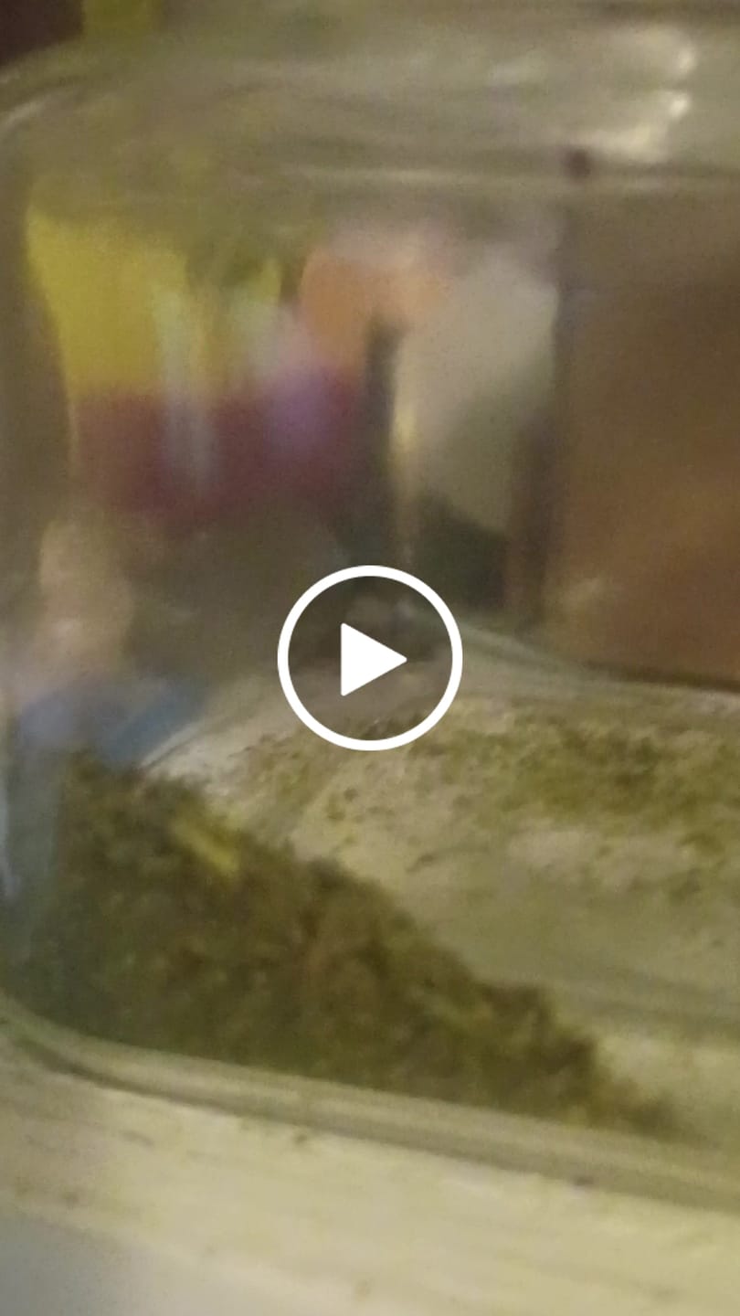 Customer video review of Cosmic Crumble FRS | Astro Eight