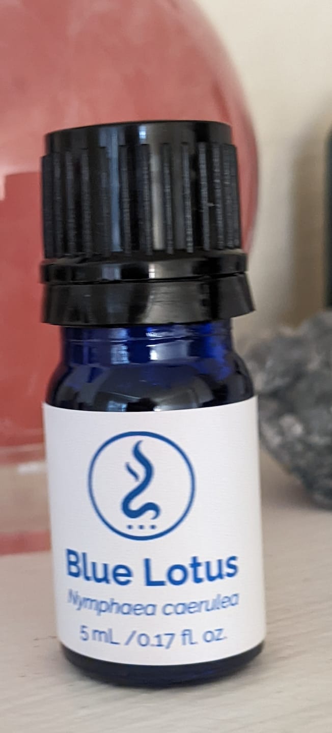 Customer photo review of Founder 88 Membership