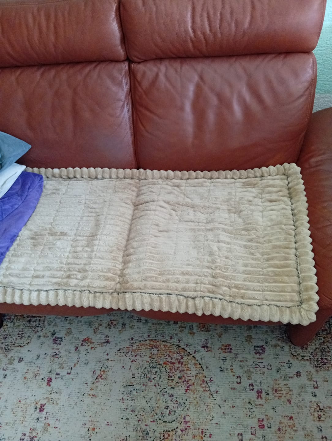 Customer photo review of PetLounge I Premium Sofa-Schutz