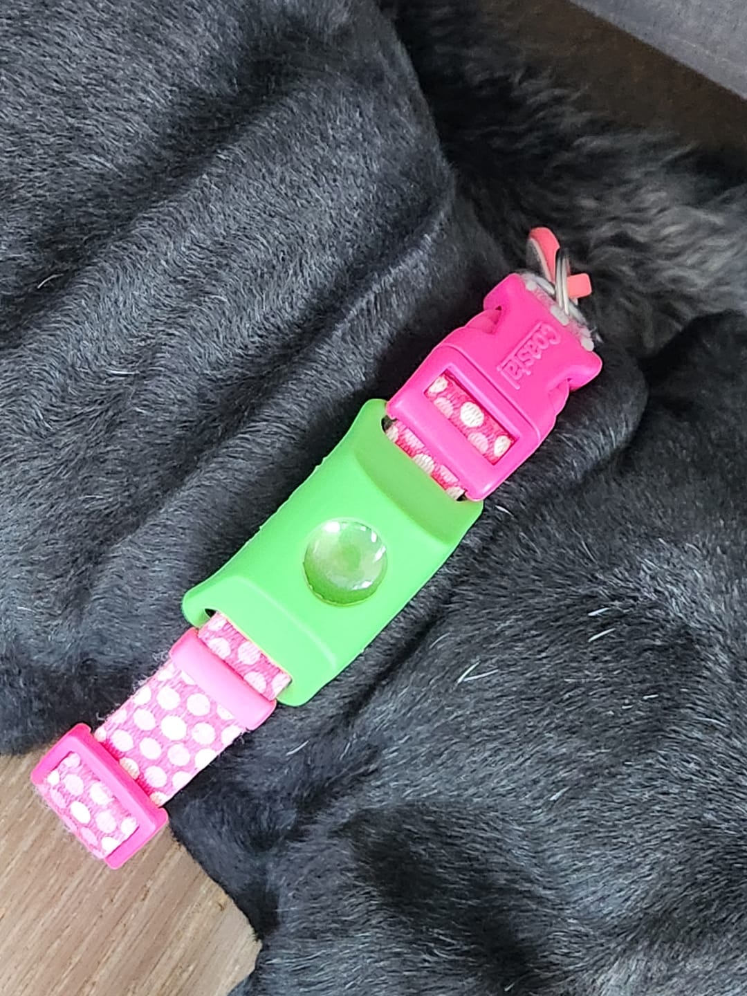 Customer photo review of FurLife™ 12 Months Flea and Tick Free