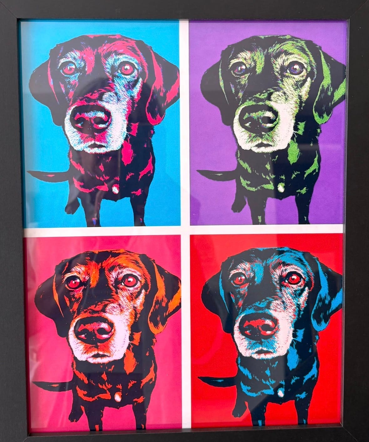 Customer photo review of Personalised Poster With Dog or Cat - Colour Squares
