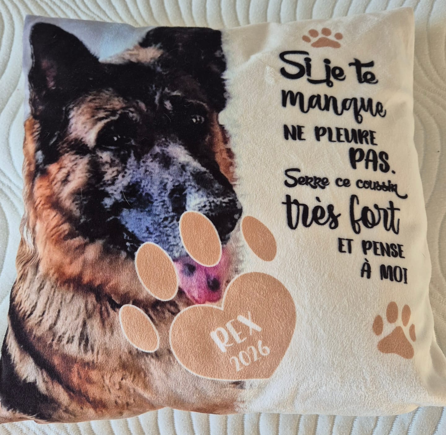 Customer photo review of Si je te manque - Coussin personnalisé