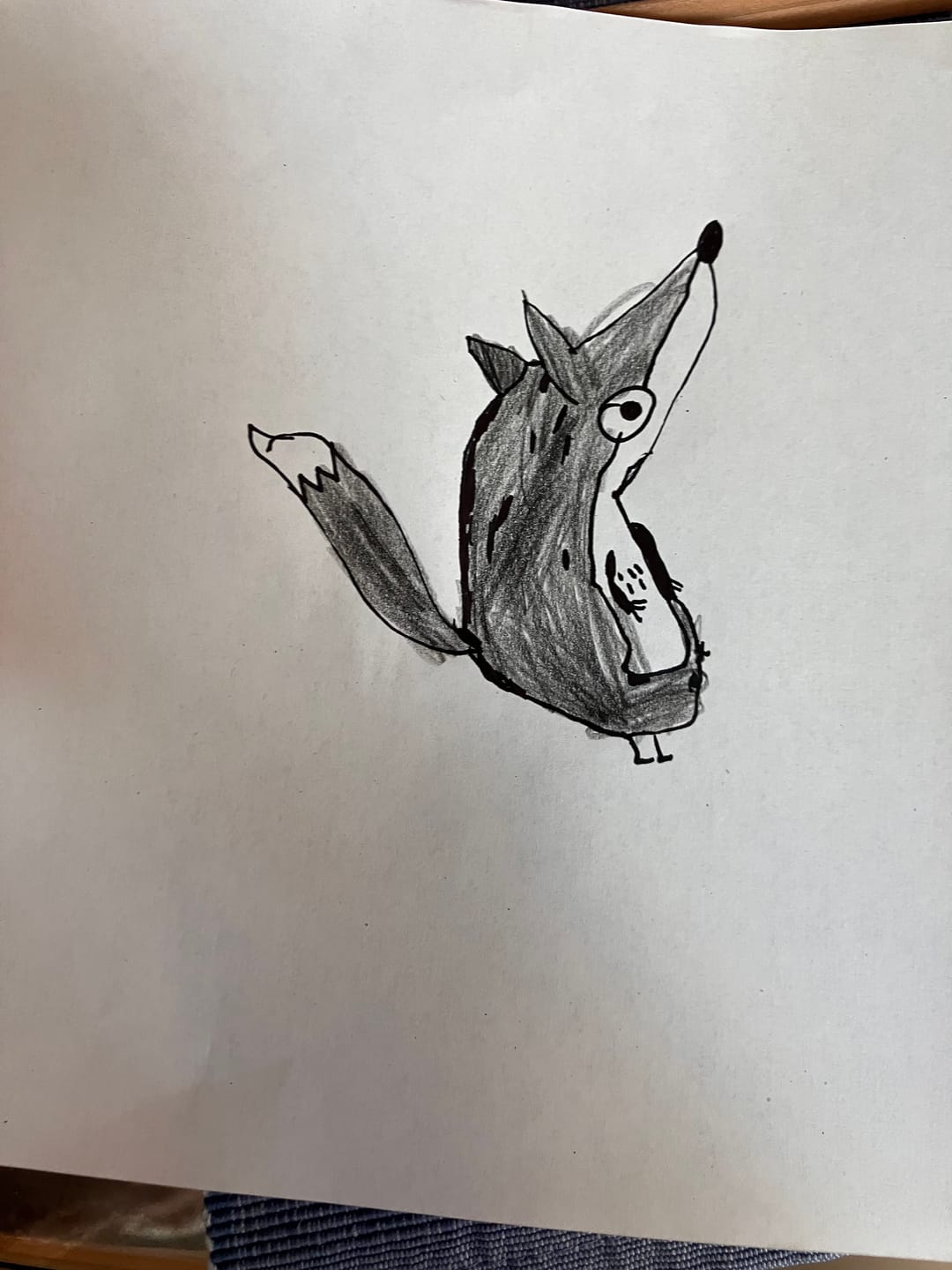 Customer photo review of Malen Schritt für Schritt "Krummtierbuch"