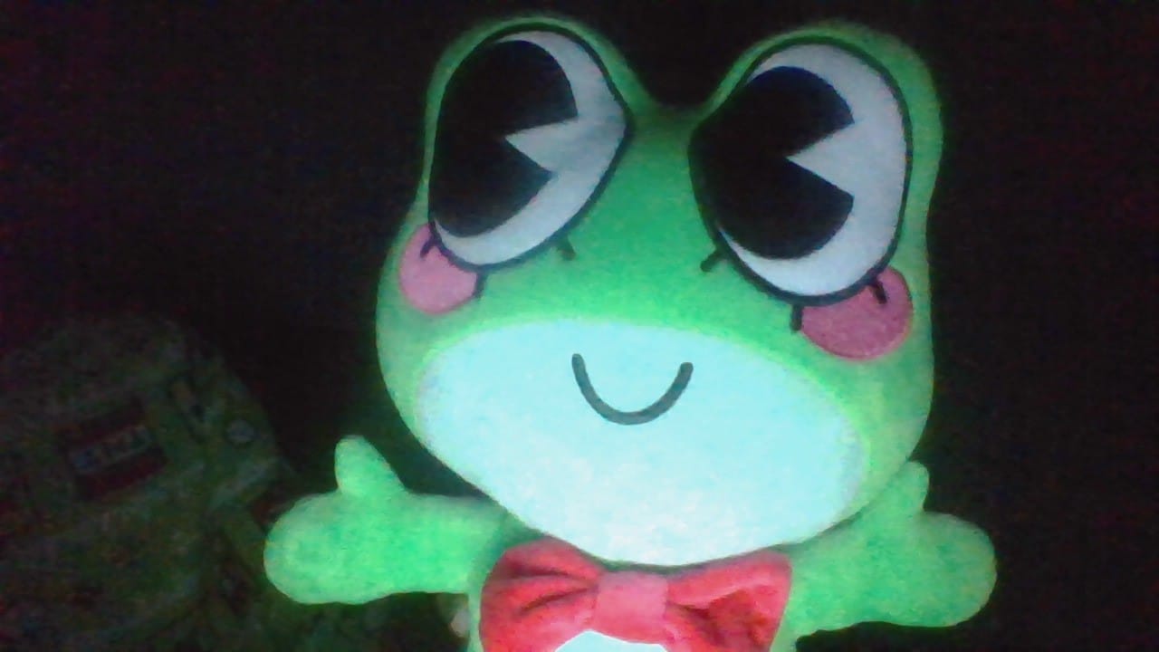 Customer photo review of Ribbit Plush