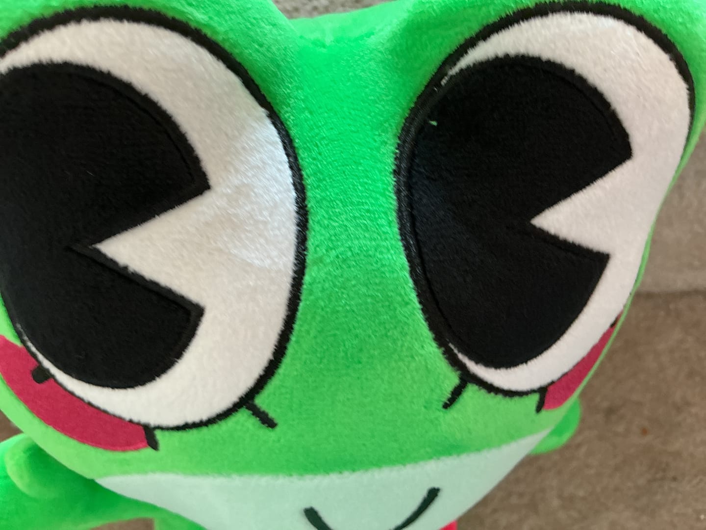 Customer photo review of Ribbit Plush