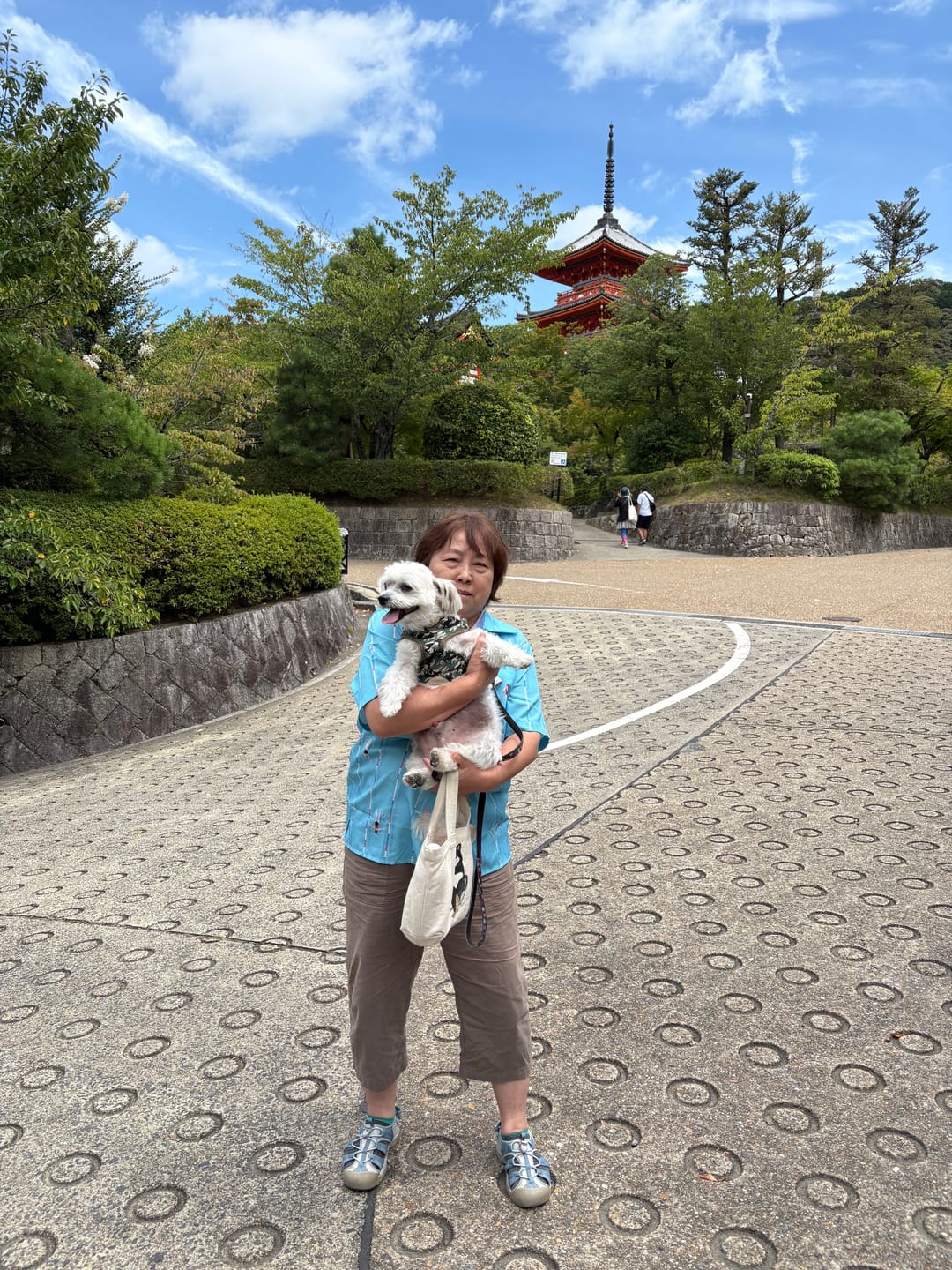Customer photo review of 「サマースイミングプールの俯瞰」ストライプアロハシャツ
