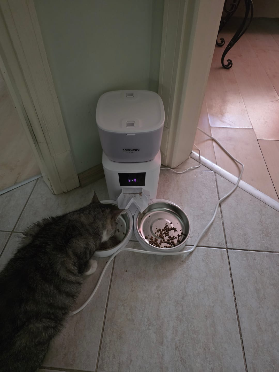 Customer photo review of Otomatik Mama Kabı (Kameralı) | Çelik Çift Kaseli, 4L, 1080P, 2MP, Sesli, Akıllı Mama Kabı