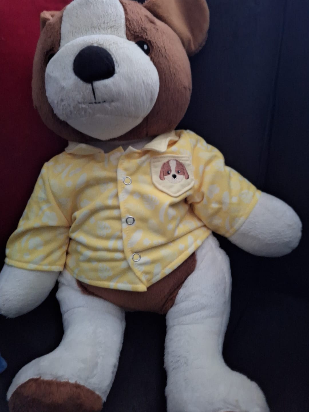 Customer photo review of Hond Kleding Zomer Lotgenootje