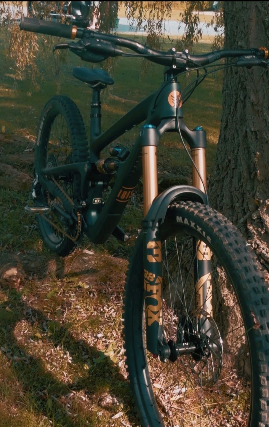 Customer photo review of Custom Fox 38 Decal