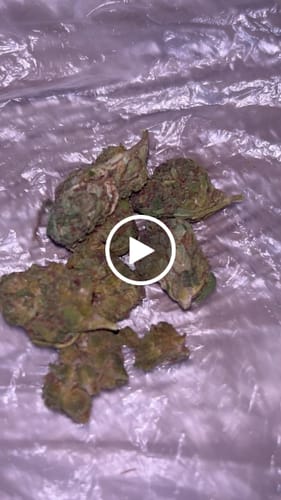 Customer video review of THC-A 31% Flower Biscotti Mintz