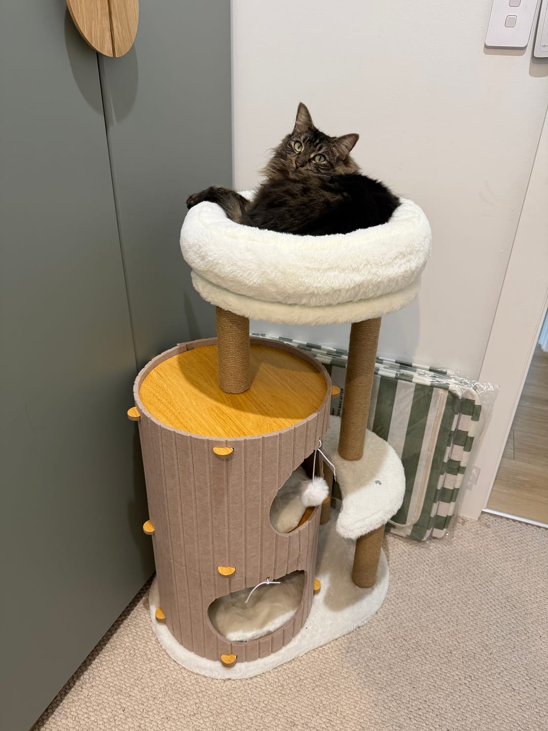 Customer photo review of 5-Level Felt Cat Tower with Sisal Posts – Cosy & Multi-Cat Friendly