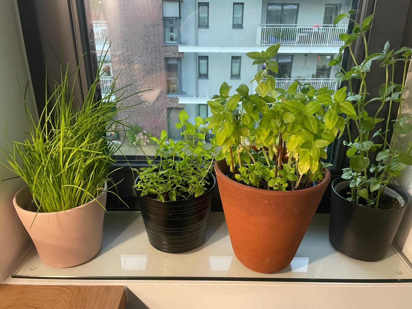 Customer photo review of Glasregal ohne Halterung, Klarglas