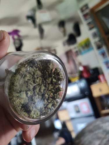 Candy Runtz - Minis - 28 Grams - Hybrid photo review