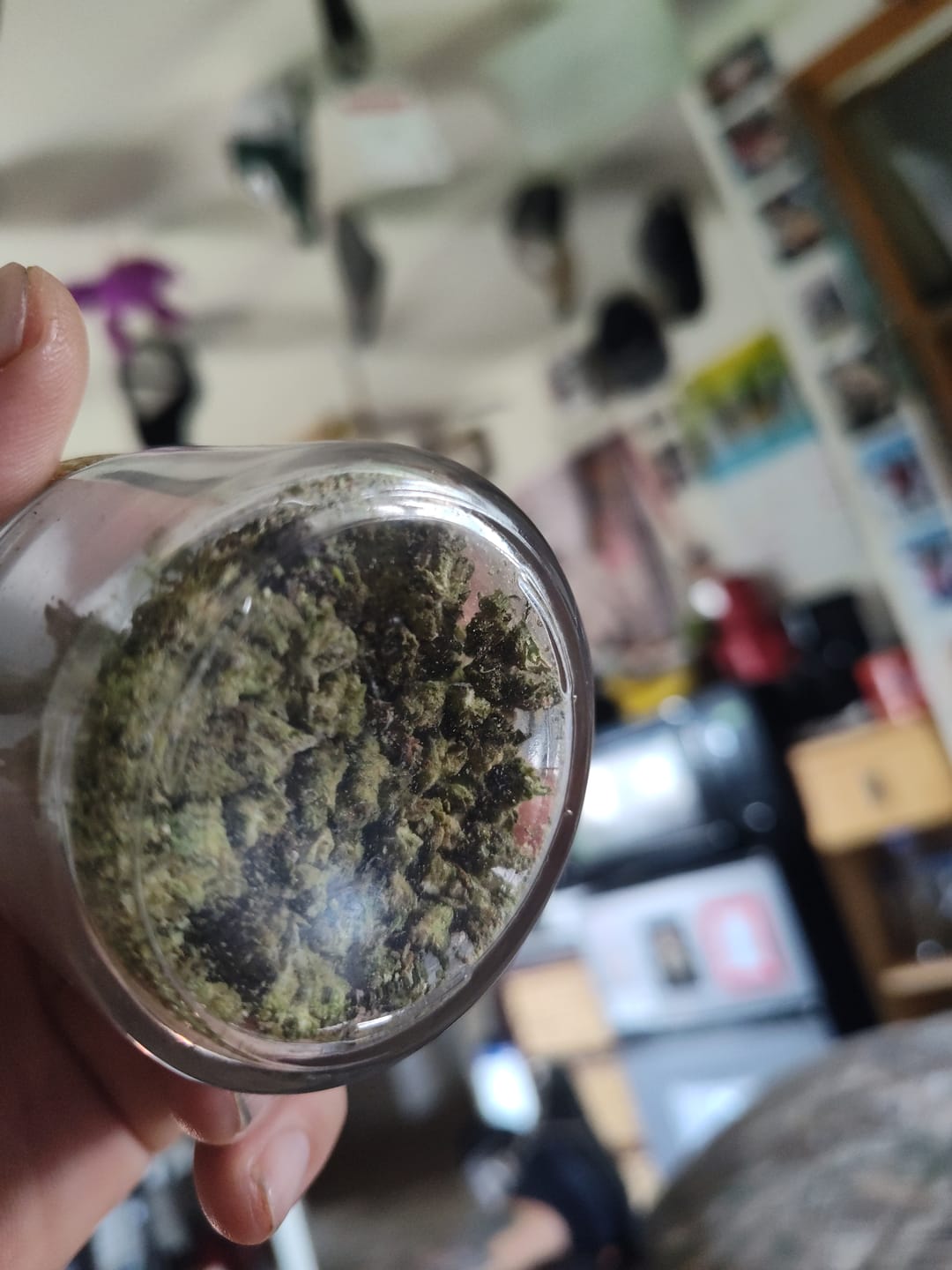 Customer photo review of Candy Runtz - Minis - 28 Grams - Hybrid