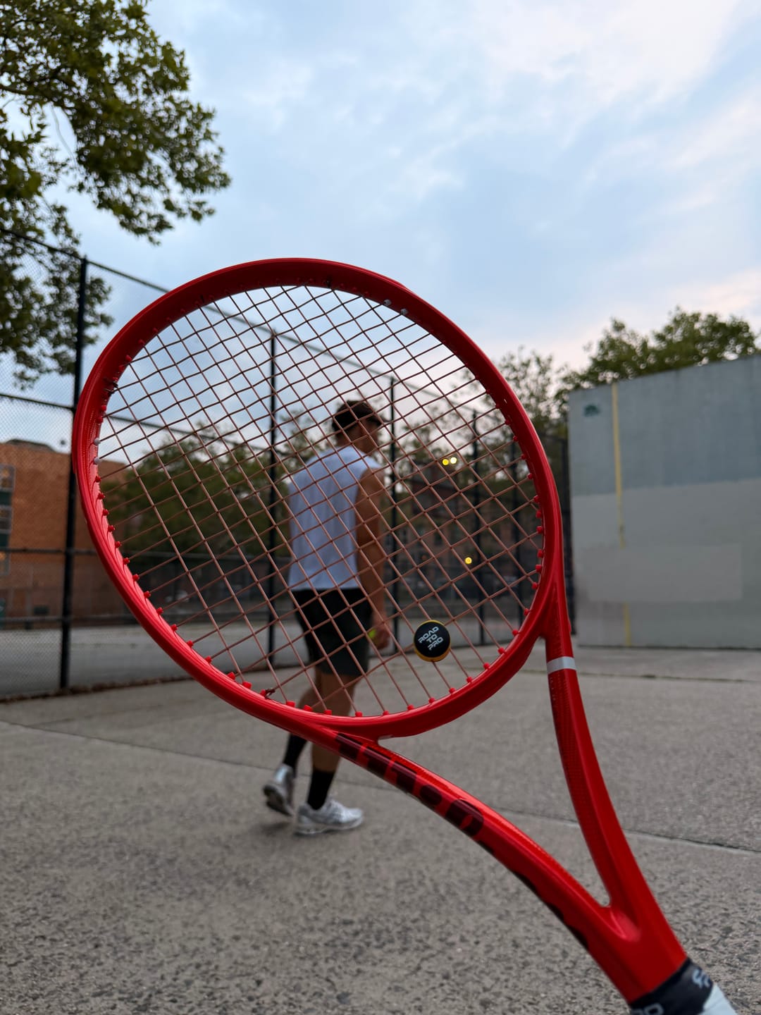 Customer photo review of Anti-Vibration Tennis ShockSorb Dampener - 2 Pack