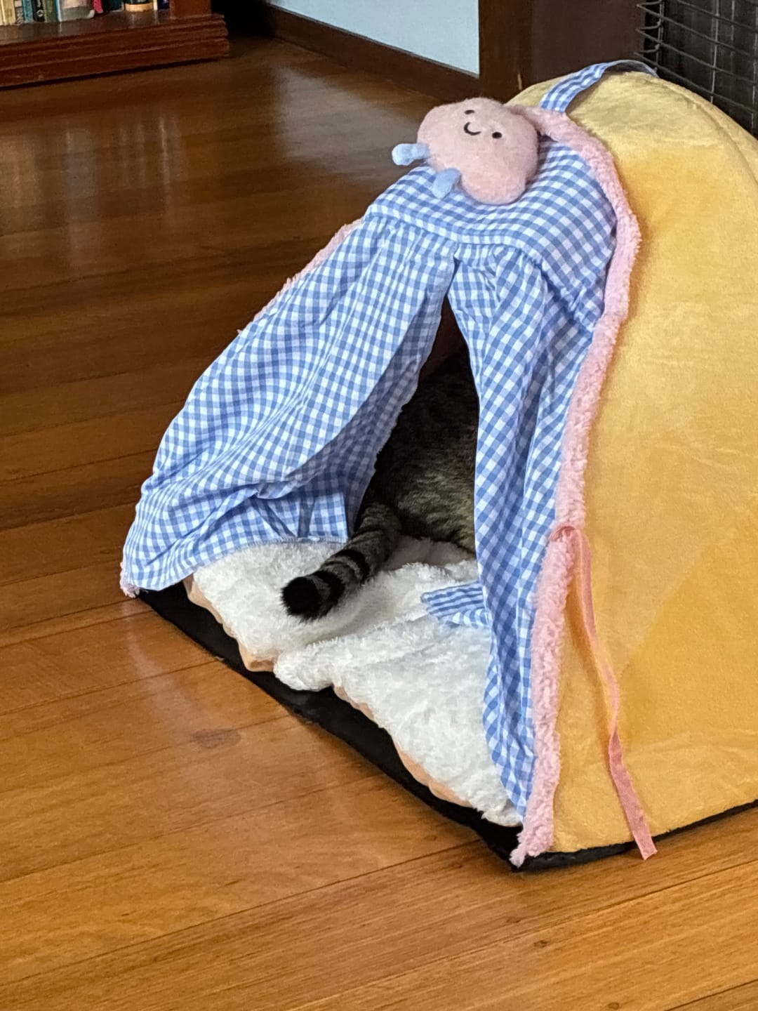 Customer photo review of Cloud Tent Cosy Enclosed Pet House