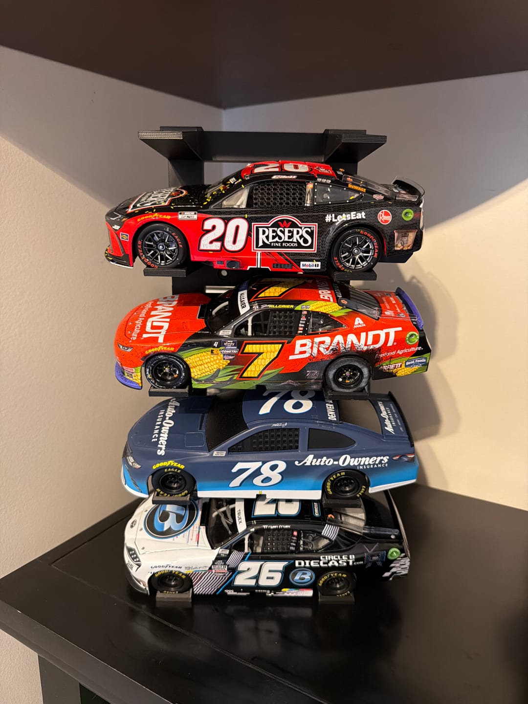 Customer photo review of 1/24 Diecast Stands