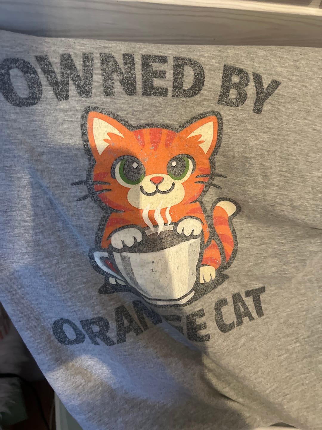 Customer photo review of Owned by Orange Cat - T-Shirt