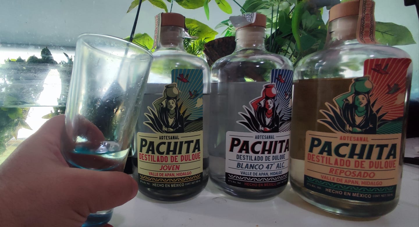 Customer photo review of 3 Pack 750mL: 3 Sabores, 3 Momentos – Joven, Blanco y Reposado
