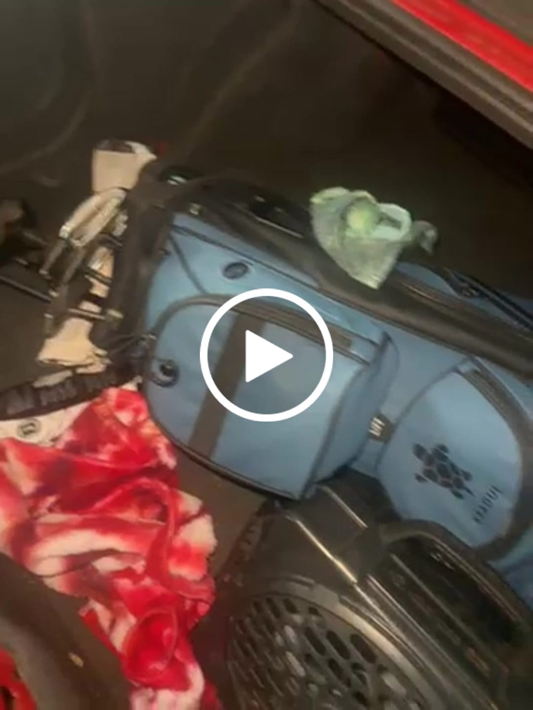 Customer video review of EARTH SEALED Cart Bag: Blue Jay