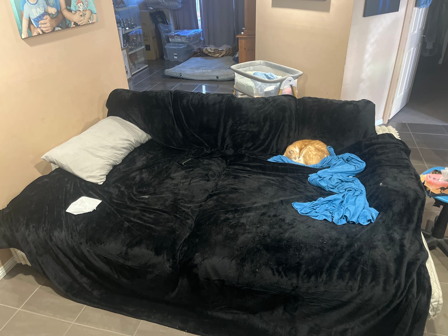 Customer photo review of The Mega Blanket