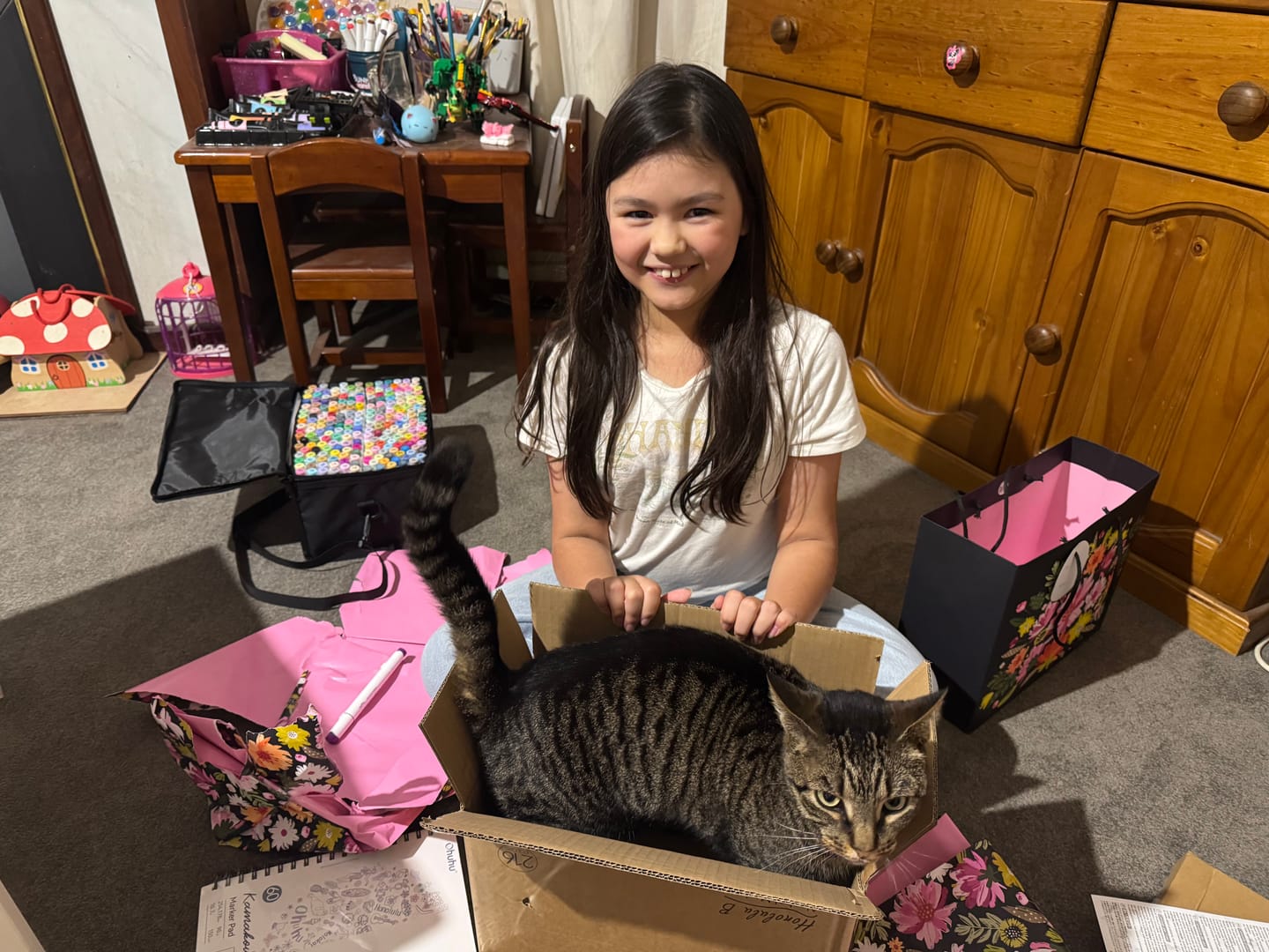 Customer photo review of Ohuhu Honolulu 216 Colors Dual Tips Alcohol Art Markers (New Color Codes)
