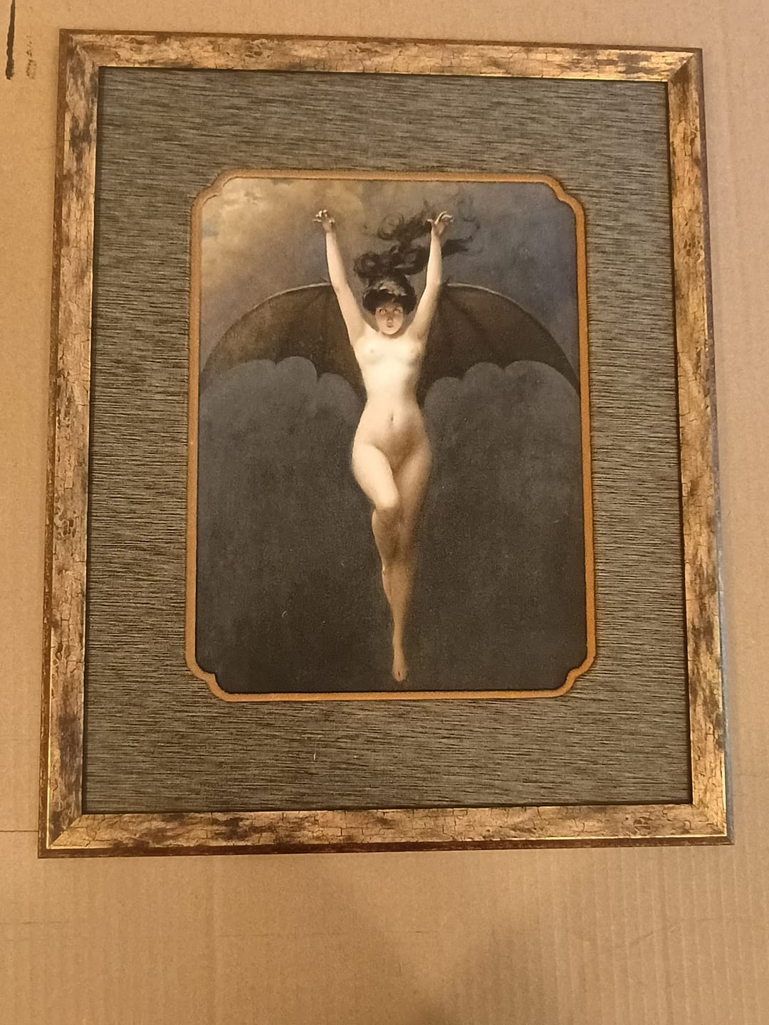 Customer photo review of The Bat Woman | Albert Joseph-Pénot | 1890