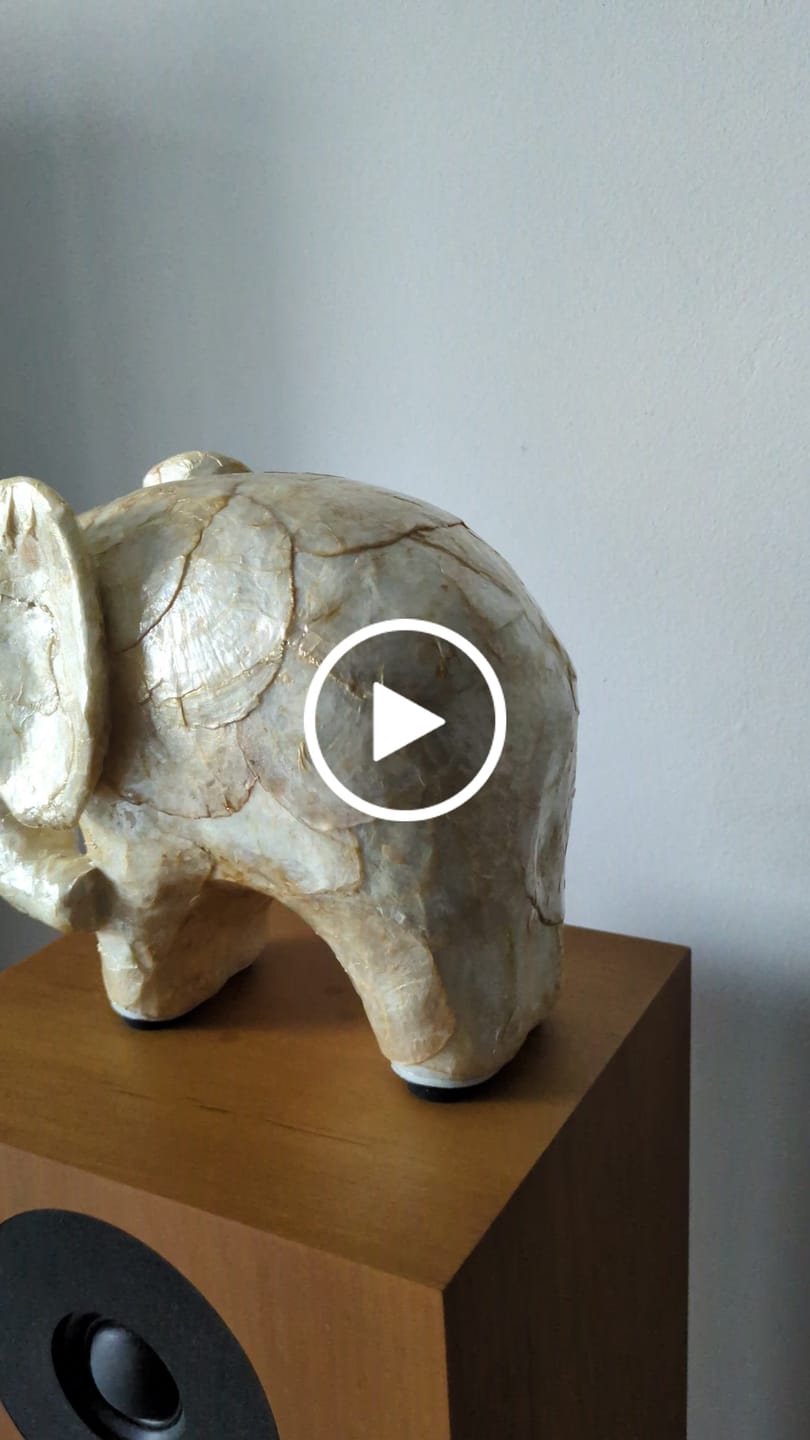 Customer video review of Pearl Elephant of Ji Xiang (贝象呈祥)