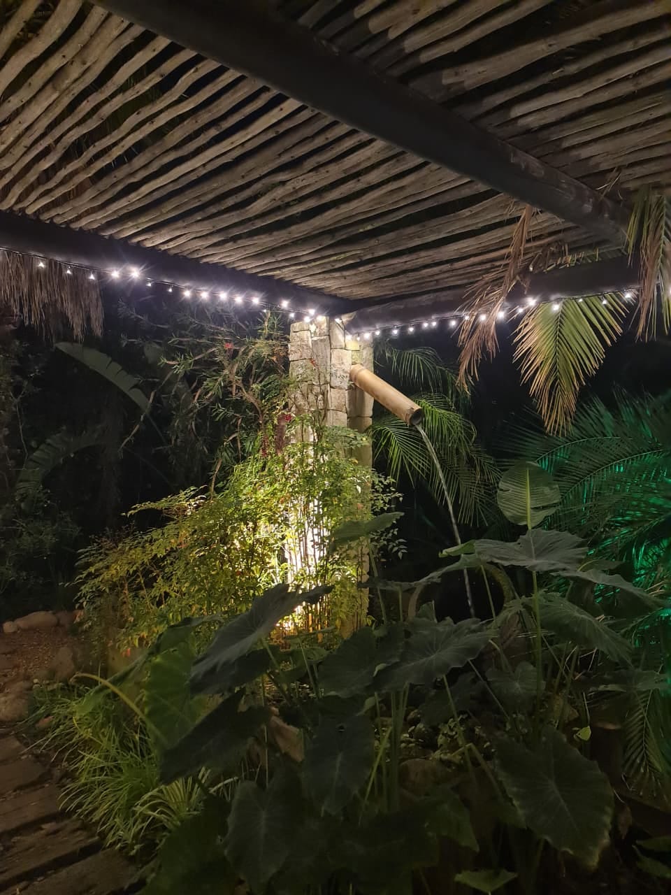 Customer photo review of Outdoor Heavy Duty Fairy Lights 10m Warm White - Black String