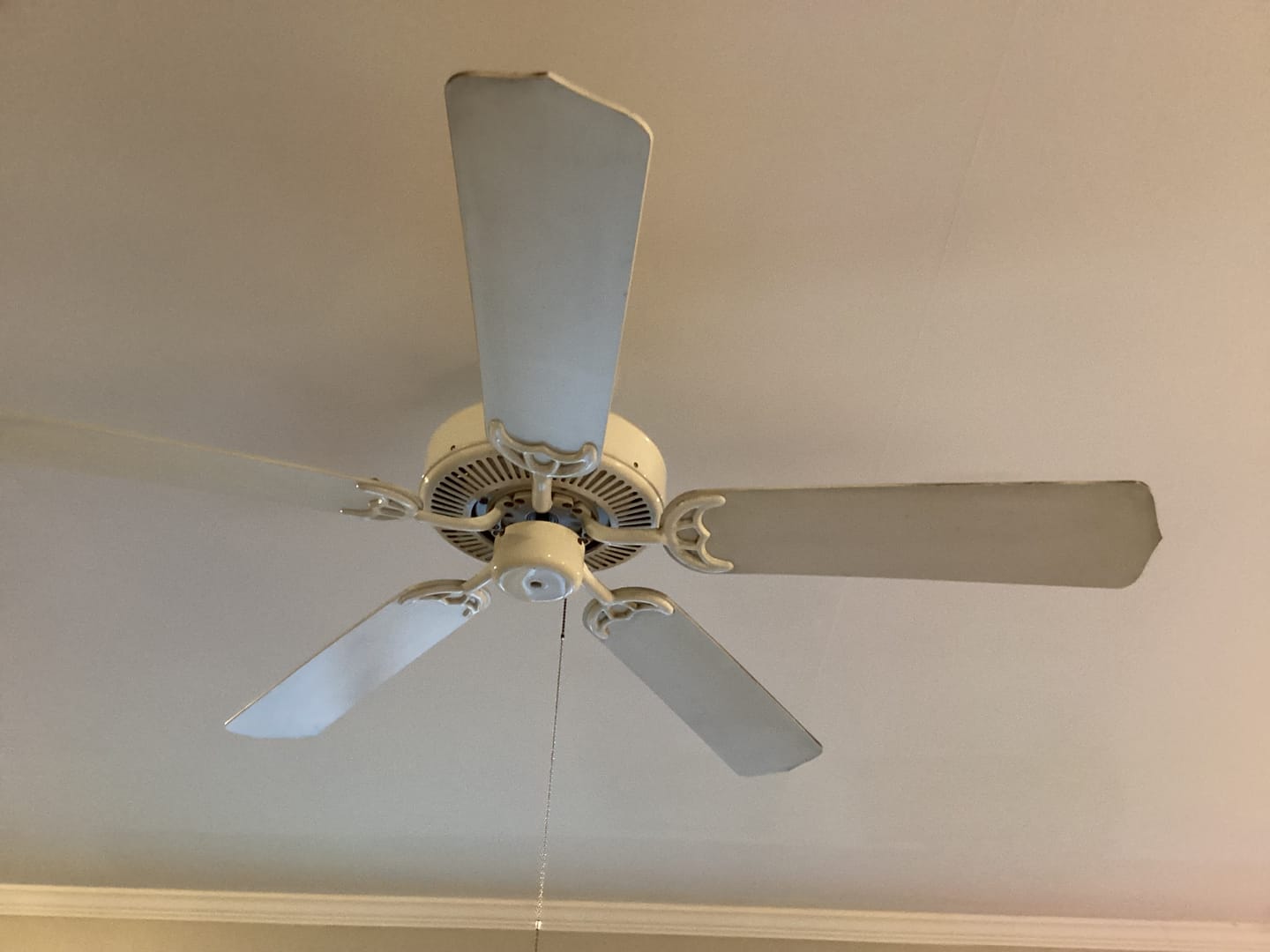 Customer photo review of Extendable Microfiber Duster