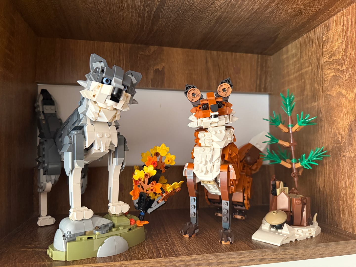 Customer photo review of ANIMALES DEL BOSQUE: LOBO GRIS