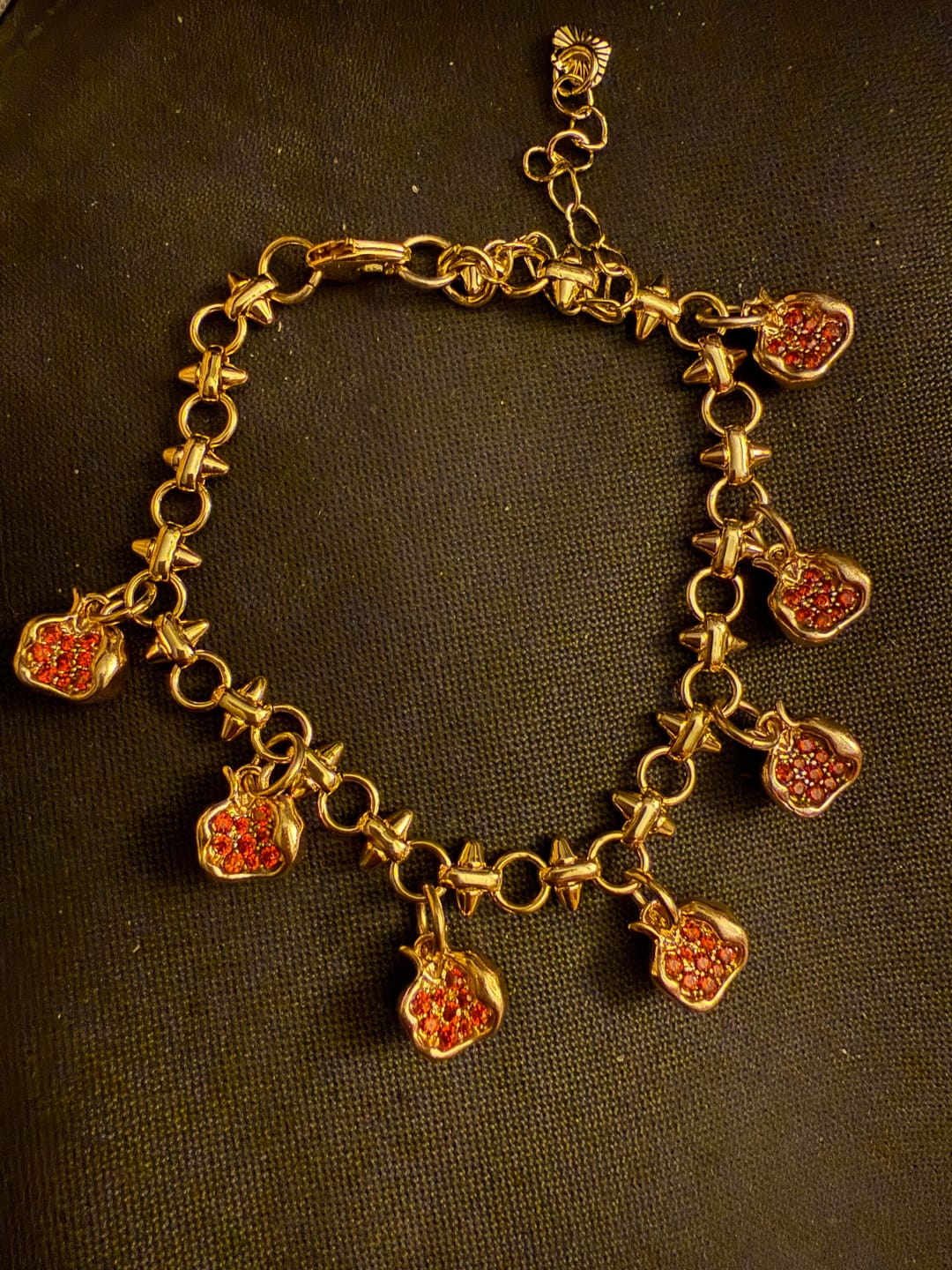 Customer photo review of 7 CHARM Bracelet Bundle - (Chain OR Clips + 7 CHARMS) TT LIVE