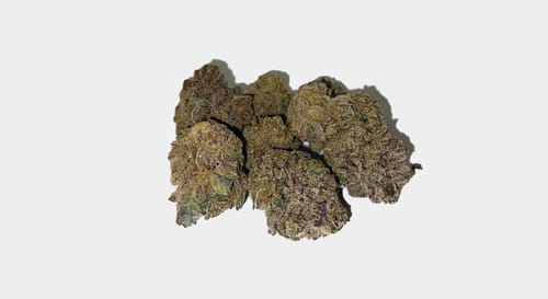 Blueberry Syrup Minis - Bulk Minis - Hybrid photo review