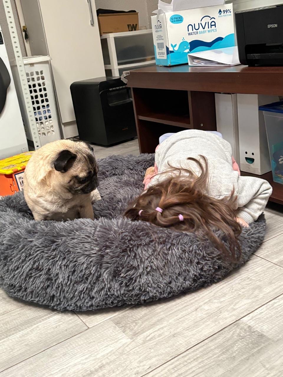 Customer photo review of Cama Anti-Estrés THE DOGS — Menos ansiedad, más descanso
