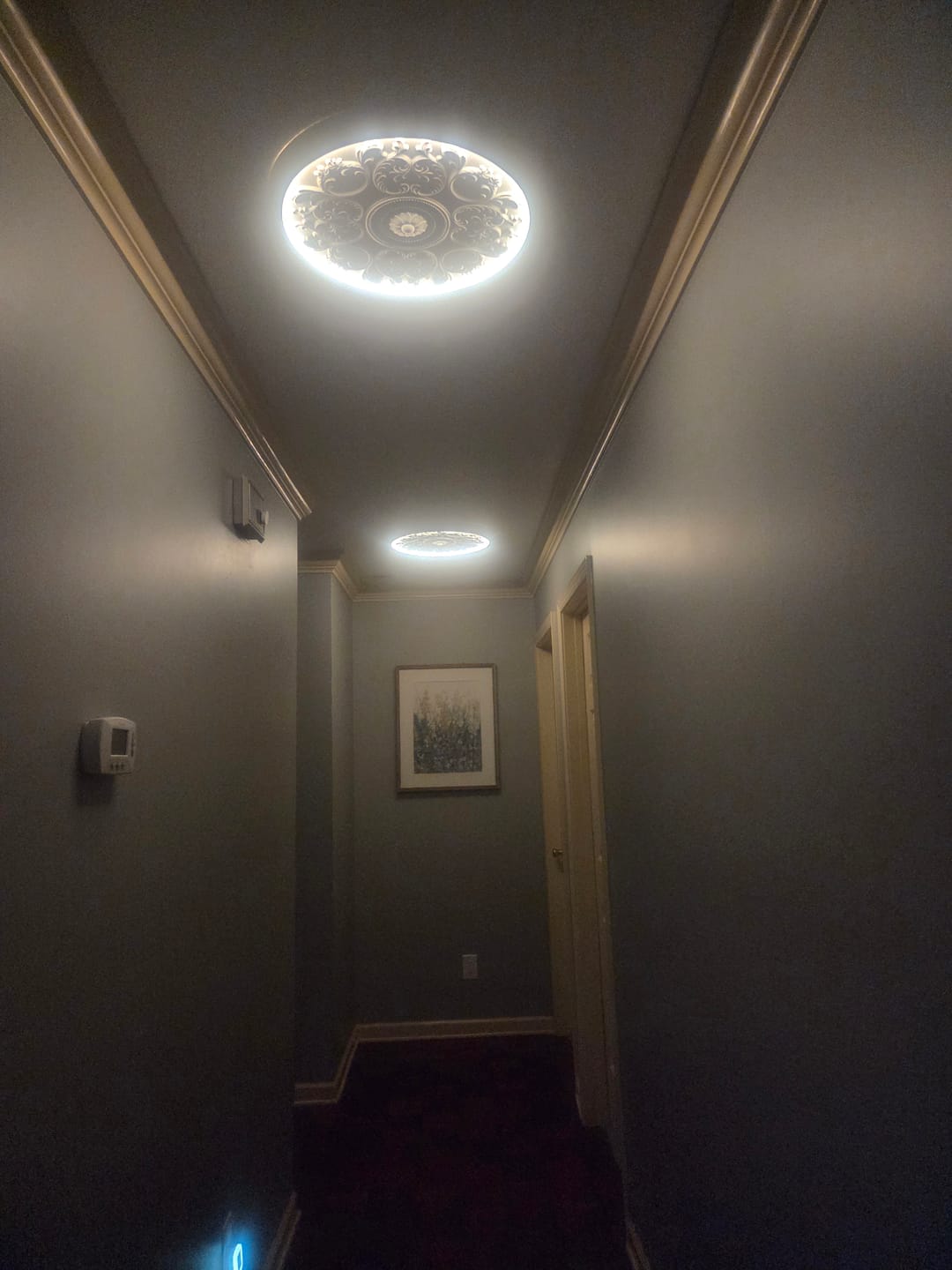 Customer photo review of Decorative French White Medallion LED Flush Mount Light