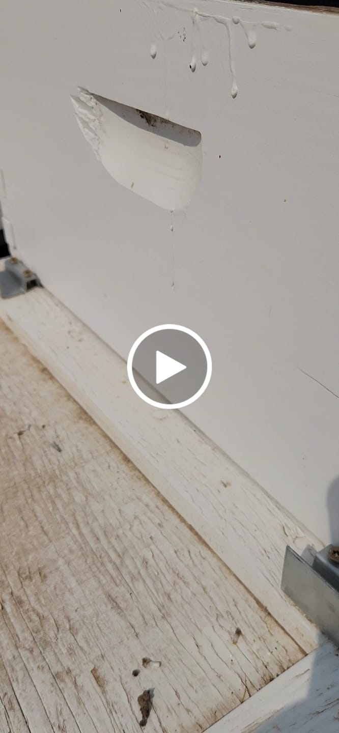 Customer video review of W Pallet Clips