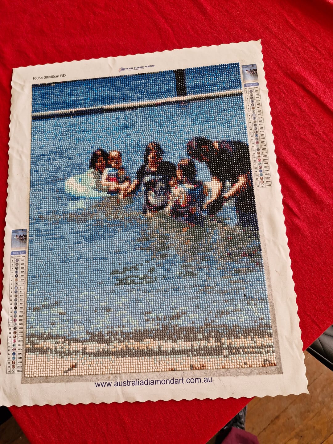 Customer photo review of Custom Diamond Painting